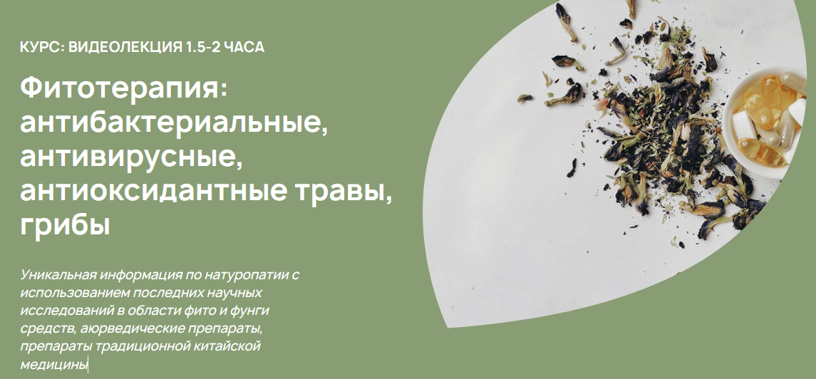 [А. Родионова] Фитотерапия_ антибактериальные, ант_0.png